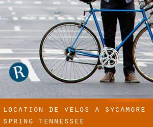 Location de Vélos à Sycamore Spring (Tennessee)