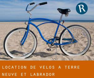 Location de Vélos à Terre-Neuve-et-Labrador