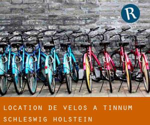 Location de Vélos à Tinnum (Schleswig-Holstein)