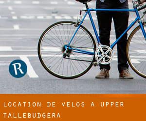 Location de Vélos à Upper Tallebudgera