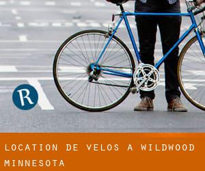 Location de Vélos à Wildwood (Minnesota)