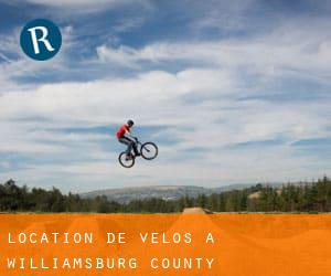 Location de Vélos à Williamsburg County