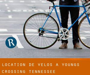 Location de Vélos à Youngs Crossing (Tennessee)