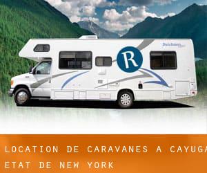 Location de Caravanes à Cayuga (État de New York)