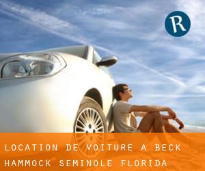 location de voiture à Beck Hammock (Seminole, Florida)
