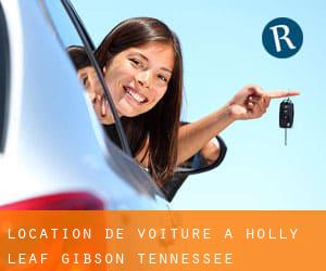 location de voiture à Holly Leaf (Gibson, Tennessee)